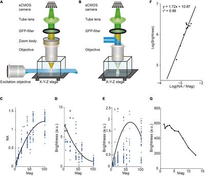 Multi-Scale Light-Sheet Fluorescence Microscopy for Fast Whole Brain Imaging